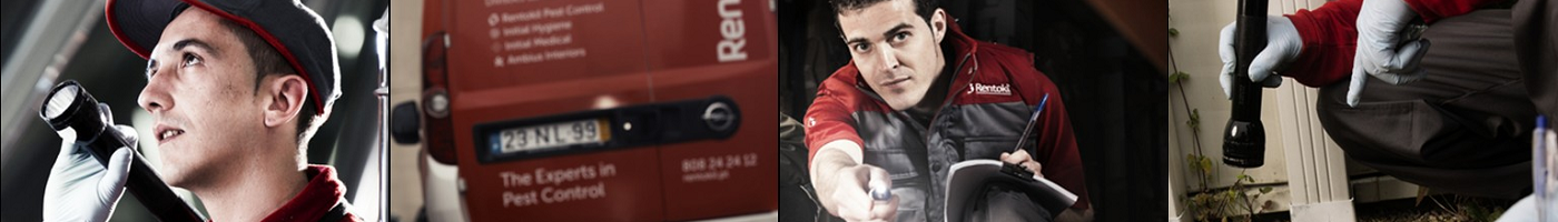 Rentokil Initial cover