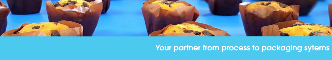 'Bannière de l'entreprise BFR Systems'