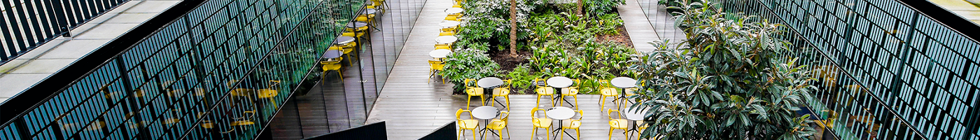 Societe Generale cover