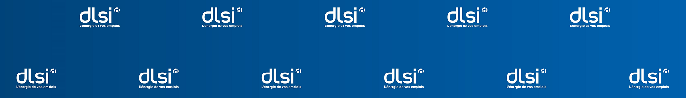 DLSI FRANCE cover