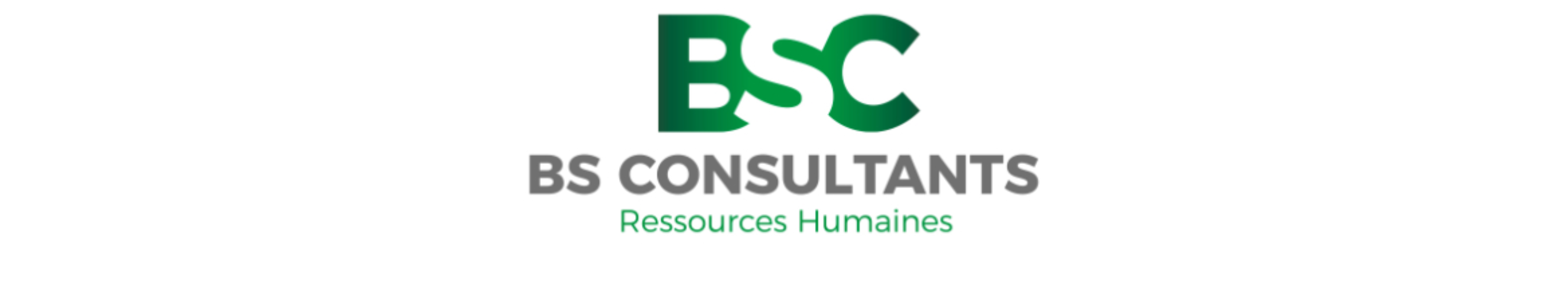 'Bannière de l'entreprise BS Consultants'