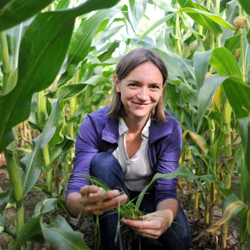 illutration Agronome F/H